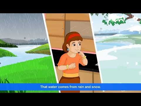The Water Cycle | Importance of Water of Kids | Periwinkle