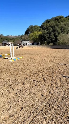 14 reactions | #rjnstables #equestrianlife #horsebackriding #horselife #horsemanship #barnlife #hardworkpaysoff #learntoride #horsetraining | RJN Stables | Facebook