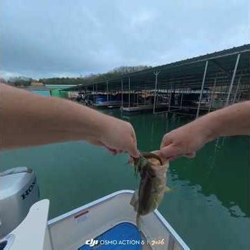 Little bass need love too #fishing