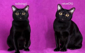 toString和valueOf区别你清楚吗？