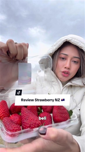 Strawberry New Zealand review: Stroberi New Zealand jumbo