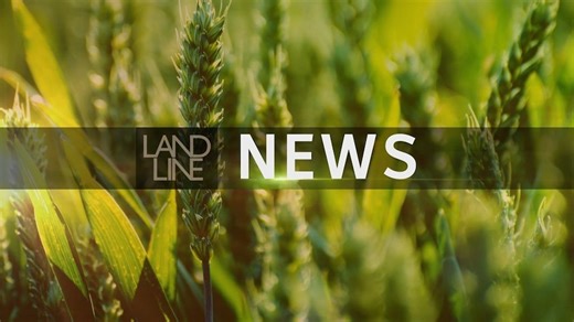 News: Rural and regional issues making the news