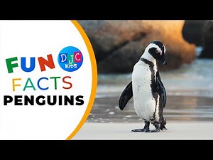 🐧 Amazing Penguin Fun Facts for Kids: Waddle into the World of Penguins!