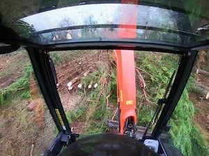 Timberwolf TW 280 & Kubota digger KX-27 wood chipping. TFG Tree Service.