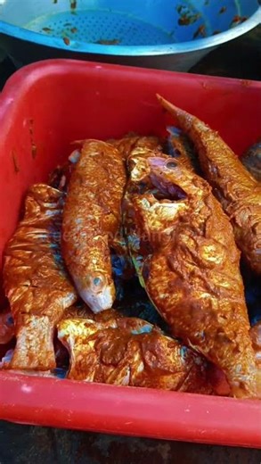 Marina Beach Famous Cwc Sundari Akka Kadai#food #shorts #shortsfeed #marina #seafood