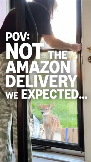 Amazon on Instagram: "Boxes that bring joy and reduce waste  We're cutting down on packaging and using more recyclable materials. ♻️"