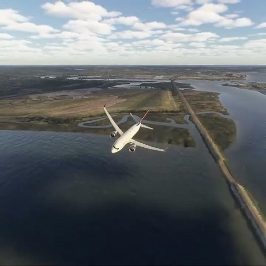 Perfect Landing in Flight Simulator ✈️ #flightsimulator #aviation #landing