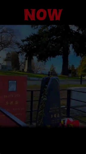 Bruce Lee's Impact on Global Power Dynamics