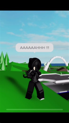 Roblox Robberians Funny Moment