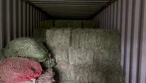 We get questions about the shipping container in the yard. It’s used for hay storage of large & small squares. These containers are not recommended for storing wet or damp hay unless they have vents & fans. We make sure any new hay is very dry & or has a fan for safety from overheating as they cure. Cured hay can go right inside. | SunRunner Ranch Horse Training