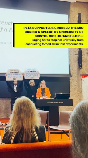 We’re squeaking up for mice & other small animals ✊ Today we joined PETA UK’s campaign by disrupting Vice-Chancellor Welch’s speech at Yale University to demand an end to the forced swim test at University of Bristol. | PETA (People for the Ethical Treatment of Animals)