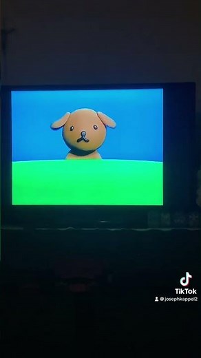 Miffy and friends dvd collection💙😊