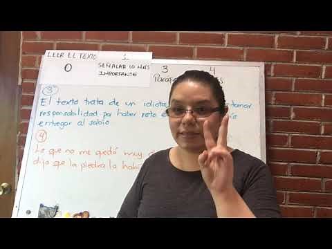 ¡REPORTE DE LECTURA! Paso a paso para lograr un reporte decente.