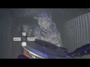 RESIDENT EVIL 7 biohazard - How to kill the two barn Fat moulds on MadHouse easily!