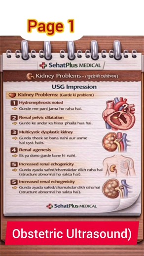 OBS USG Fetal Anomalies: Placenta, Heart, Spine & Kidney Scre
