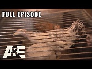 Hoarders- 200 Chickens Living in a Trailer - Full Episode (S3, E19) - A&E