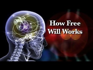 How Free Will Works