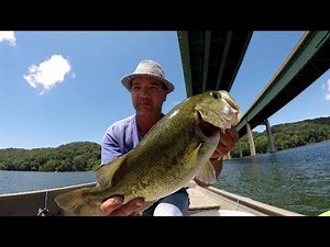 Live Shiners For Big Bass