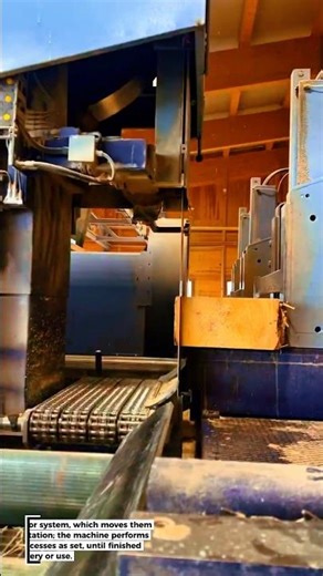 Automatic Wood Processing Machine Processing Logs!