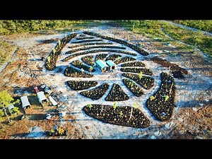 Creating A 2.5-Acre Subtropical Food Forest In 14 Days