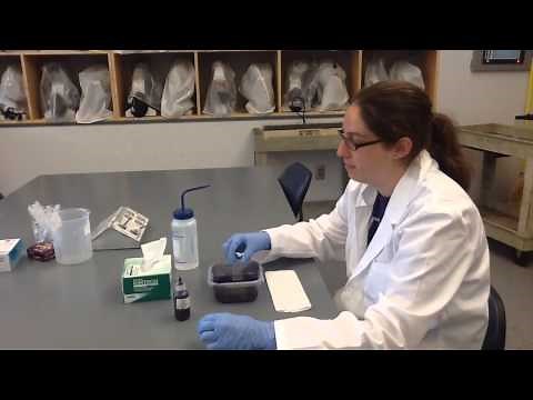 Crystal Violet Staining