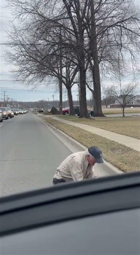 Hyenas Trap a Cheetah in a Tree Intense Wildlife Moment Caught on Camera 🐆😱