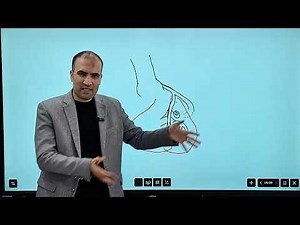 Lecture 3: lessons from the anatomy of coronary arteries