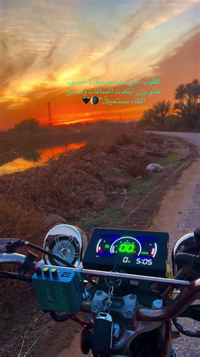 القلوب التي تحب بصدق ولا تنسى