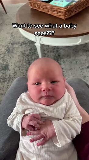 Experience a Baby's Vision with BabySee App