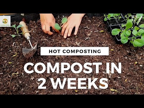 Make compost fast at home ~ compost in just 2 weeks~ Rejuvenate old soil before planting a new crop