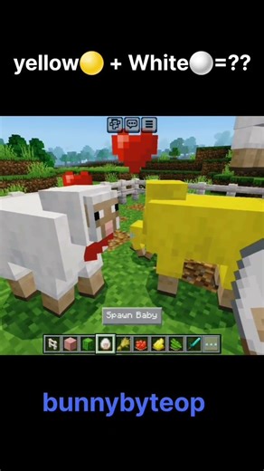 White and Yellow Sheep Mixing #minecraft #short
