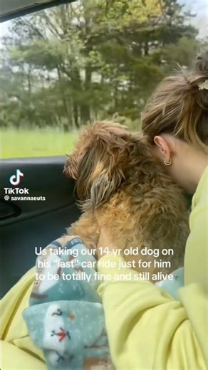 Im dead #tiktok #viral #funny #relatable #real #repost #fyp #animals #dog #humor