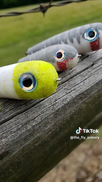 Deer Hair Spooks: Perfect Flies for Your Fishing Trips