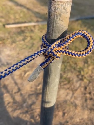 Mastering the Amazing Knot Technique