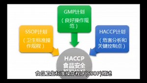 食品卫生标准操作程序(SSOP)概述 - HACCP质量体系 - GMP与6S质量管理 -