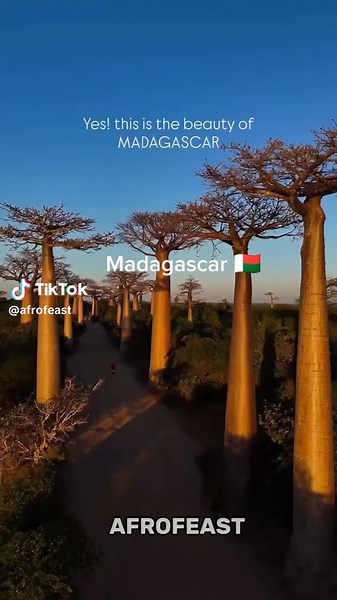 Explore Madagascar Travel Tips for 2025