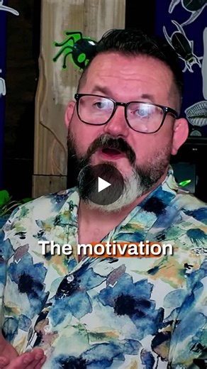 The problem with the ball python spider gene | Responsible Reptile Keeping