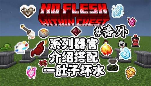 No Flesh Within Chest 脆骨症 #番外：各系列器官介绍，以及简单的搭配思路【我的世界实况】