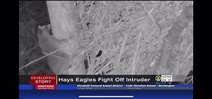 I promise 2 things... my husband taught this to me AND you will never look at these animals the same way again. 😂😆 🦝=🗑🐼 | WPXI Trisha Pittman