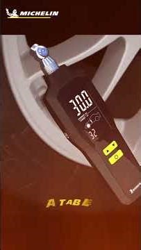 michelin digital programmable pressure gauge