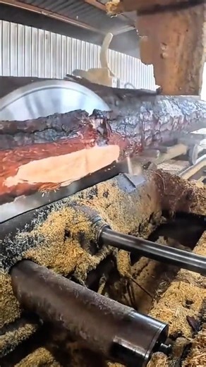 shaving off several thin layers from a light brown wooden log using manual hand plane tool outdoors