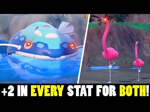 This Dondozo Flamigo Strategy Is SO BROKEN!