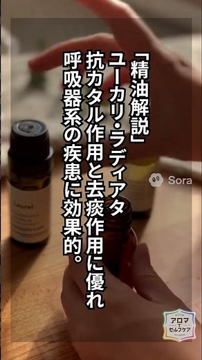 [Amazing Aroma!] Tonsillitis