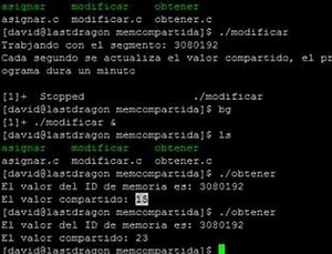 Demostración de memoria compartida en un GNU/Linux