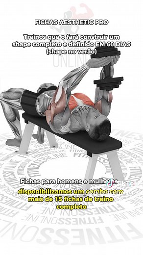 Treino de Peito Completo para Peitorais Gigantes