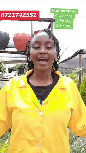 Maggie Landscaper on TikTok