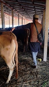 Alhamdulillah New 39 pc | Md Fourkan Uddin