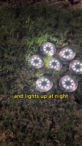 #light #ledlights #gardenlights #outdoorlighting #led #solarlamp #landscapelighting #solarpoweredlight #outdoors | Sam Green