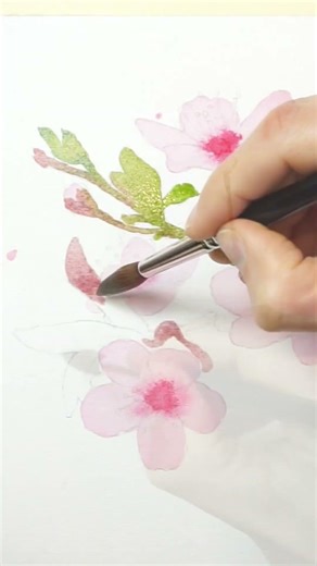 How to paint Cherry Blossoms in Watercolor