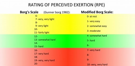 Using The RPE Scale | CMS Fitness Courses